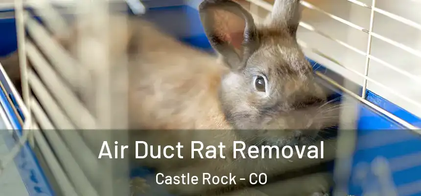  Air Duct Rat Removal Castle Rock - CO