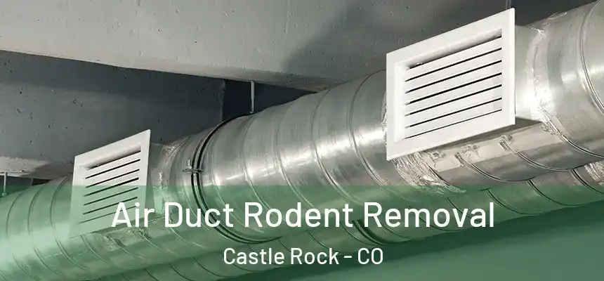 Air Duct Rodent Removal Castle Rock - CO