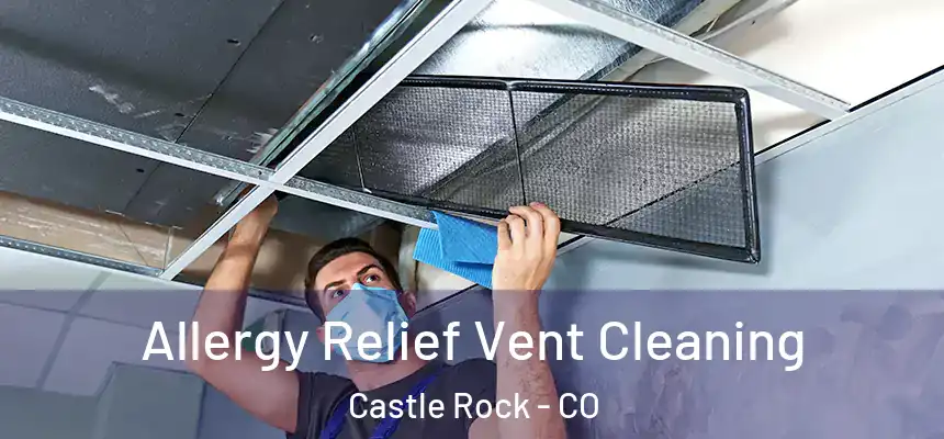  Allergy Relief Vent Cleaning Castle Rock - CO