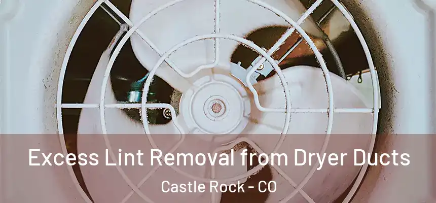 Excess Lint Removal from Dryer Ducts Castle Rock - CO