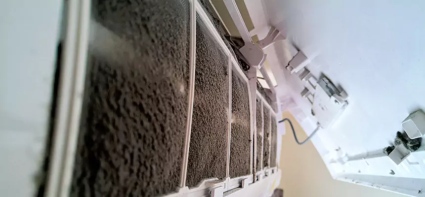 Preventive Air Duct Bacteria Removal in Castle Rock