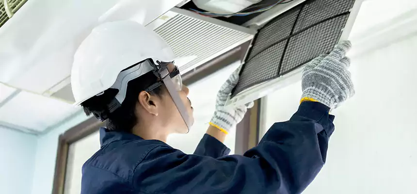 Our Mold & Mildew Removal from Air Ducts Services in Castle Rock, CO