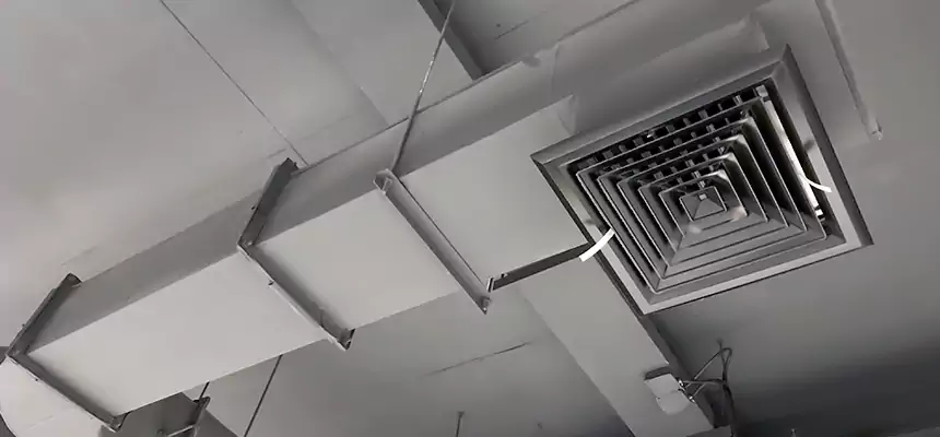 Our Pest Removal From Ducts Services in Castle Rock, CO