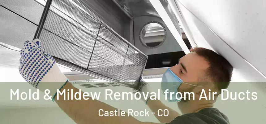 Mold & Mildew Removal from Air Ducts Castle Rock - CO
