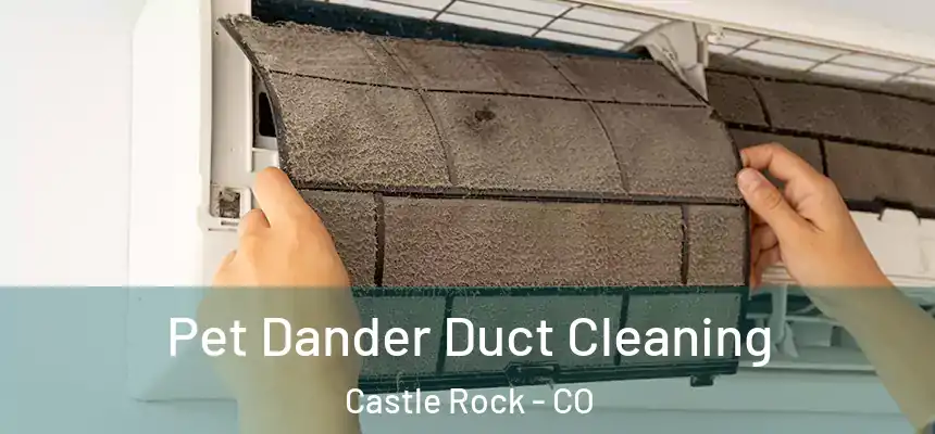  Pet Dander Duct Cleaning Castle Rock - CO