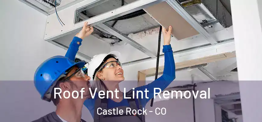 Roof Vent Lint Removal Castle Rock - CO