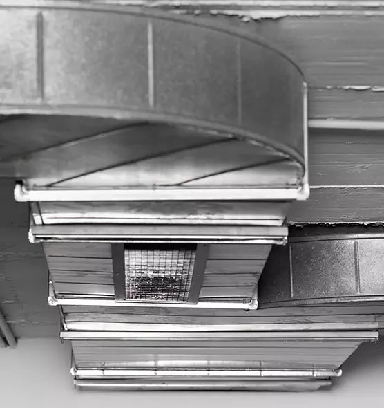 Professional Air Duct Pest Removal in Castle Rock, CO