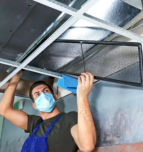Professional Air Duct Pollen Cleaning in Castle Rock, CO