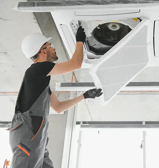 About Air Duct Rodent Removal in Castle Rock, CO