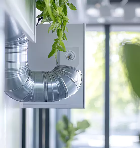 Professional Eco-Friendly Duct Cleaning Services in Castle Rock, CO