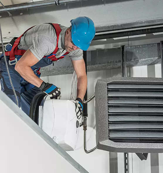 About HVAC Mold Remediation Service in Castle Rock, CO