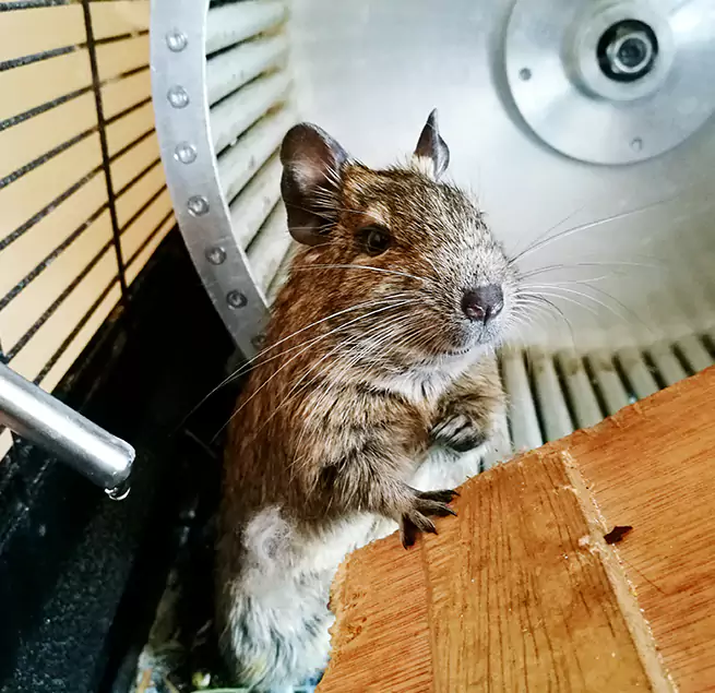 Why Homeowners & Businesses Trust Us Castle Rock, CO