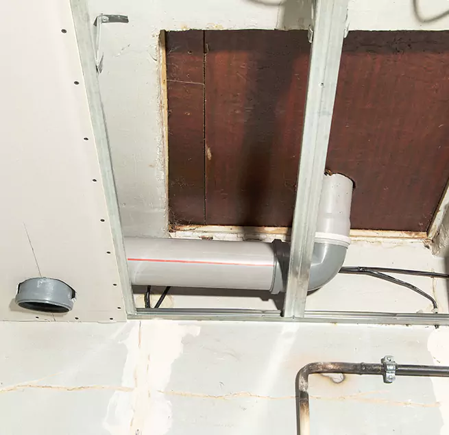 Why Homeowners & Businesses Trust Us in Castle Rock, CO?