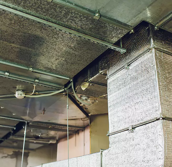 Why Homeowners & Businesses Trust Us in Castle Rock, CO?