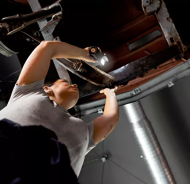 Why Homeowners & Businesses Trust Us Castle Rock, CO