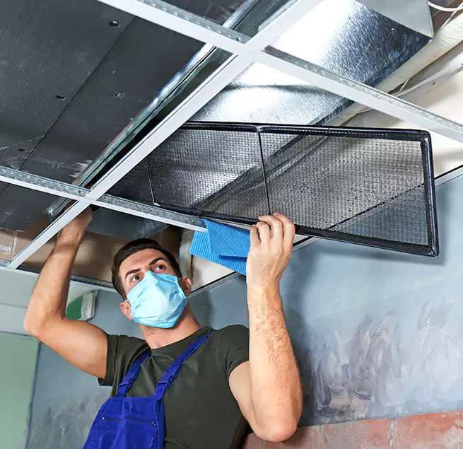 Why Homeowners & Businesses Trust Us in Castle Rock, CO?